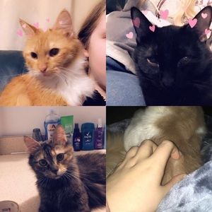 Meet your Posher, Madison